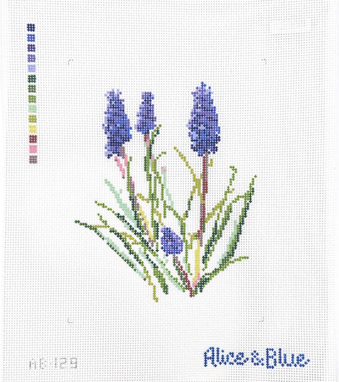 Grape Hyacinth