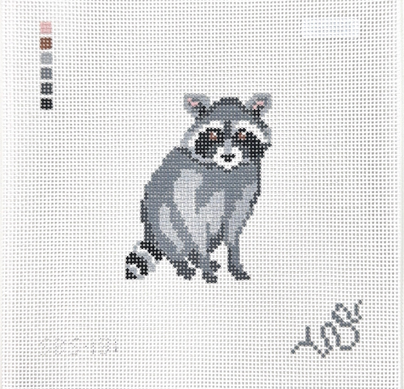 Baby Raccoon