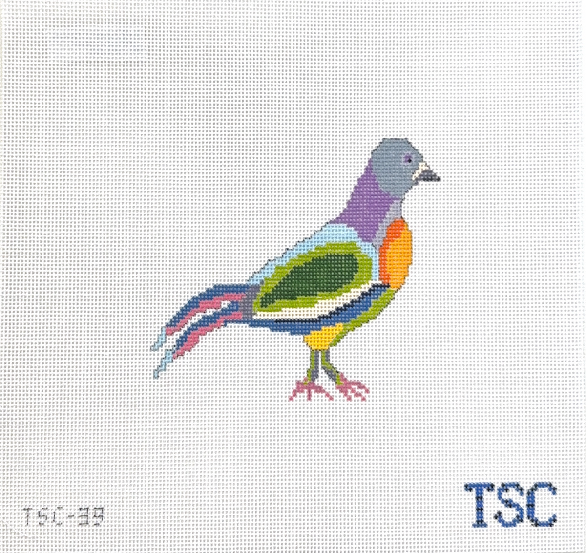 Fancy Pigeon