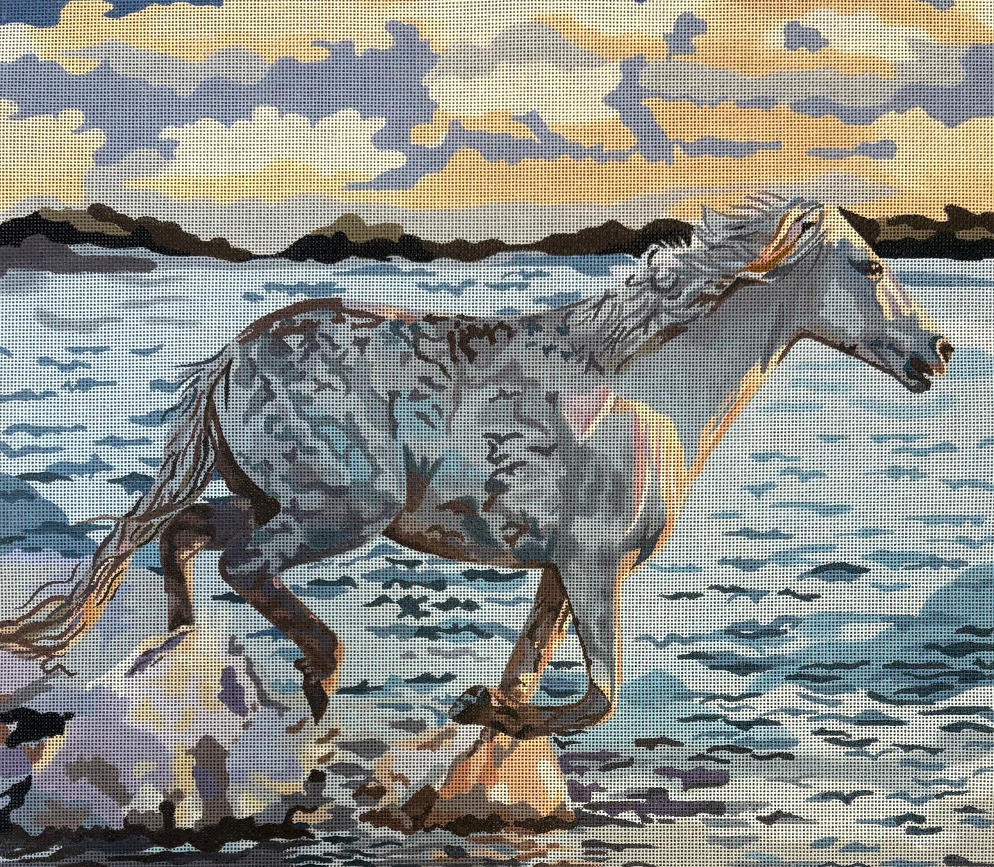 Gia16 16x14