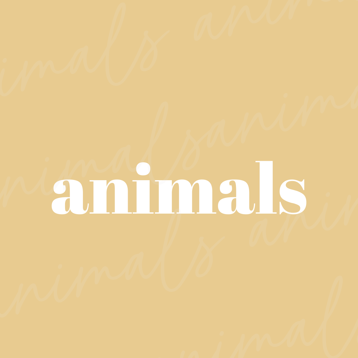 Animals