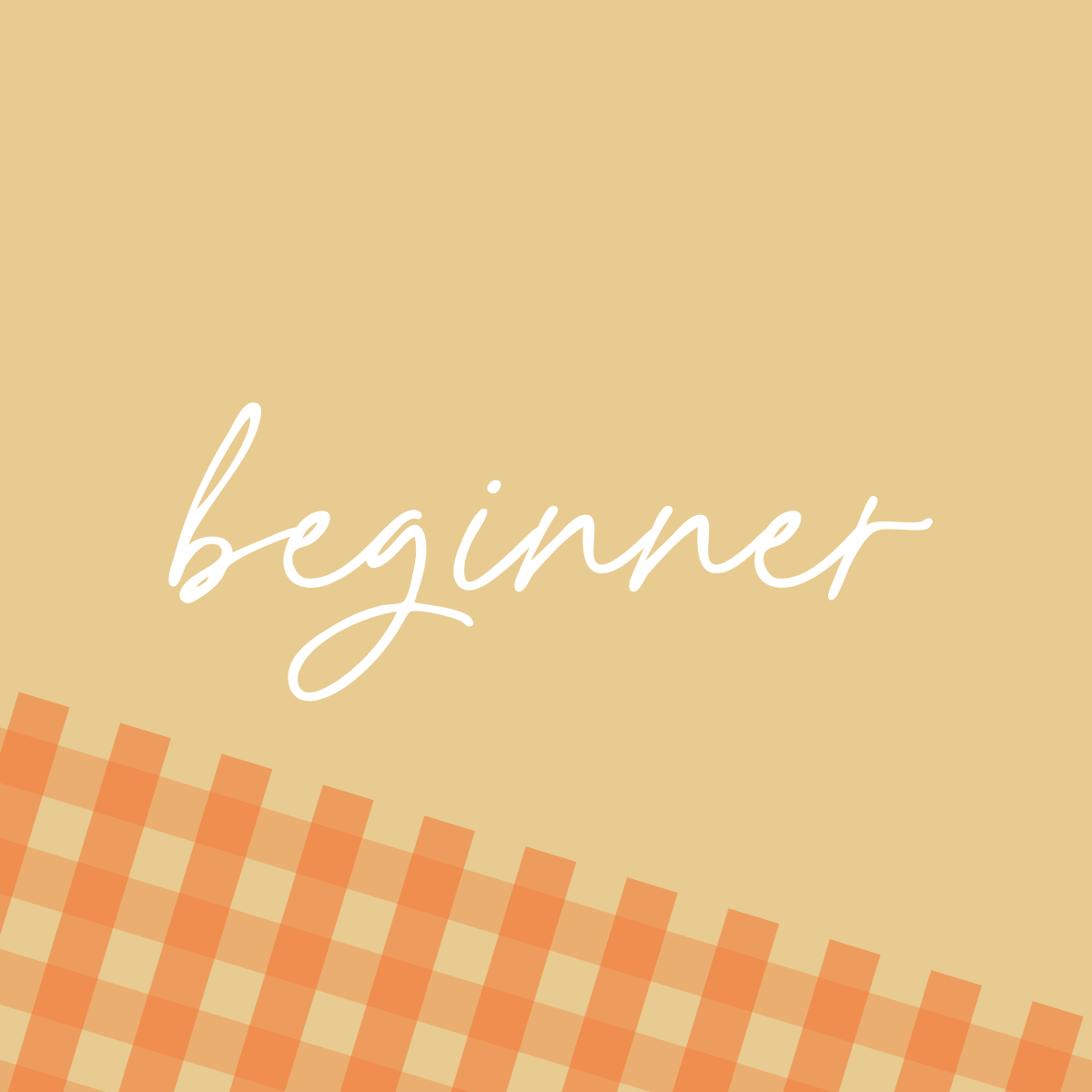 Beginner