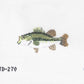 Largemouth Bass