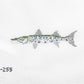 Barracuda