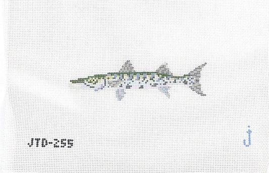 Barracuda