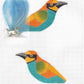 European Bee Eater