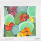 Giant Nasturtiums