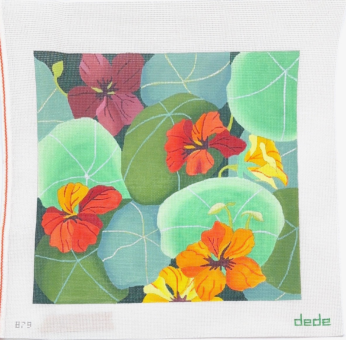 Giant Nasturtiums