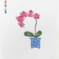 Orchid