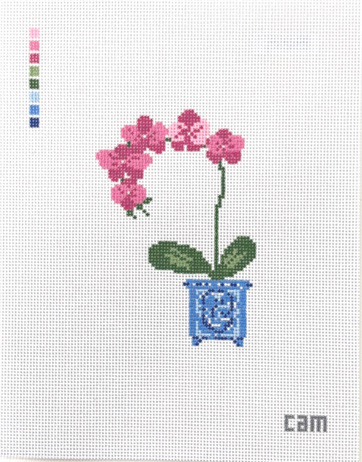 Orchid
