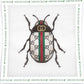 Gucci Beetle