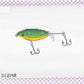 Fishing Lure