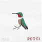 Hummingbird