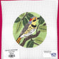 Flicker Bird