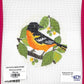 Baltimore Oriole Bird