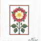 English Tudor Rose with Stitch Guide