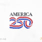 250th USA Ornament