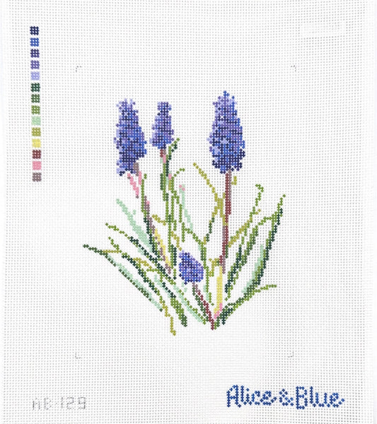 Grape Hyacinth