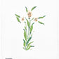 FLORAL CROSS 8