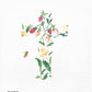 SPRING CROSS 9