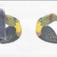 Toucan