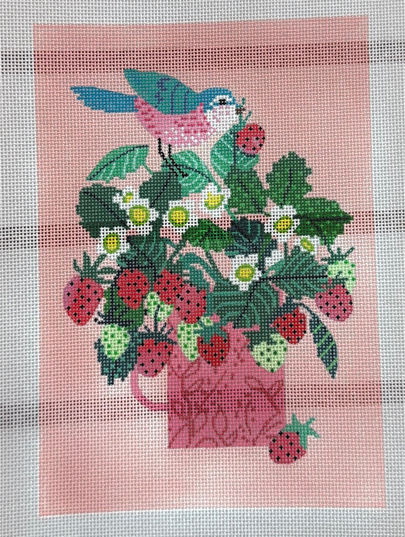 Bird with strawberries