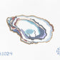 Oyster