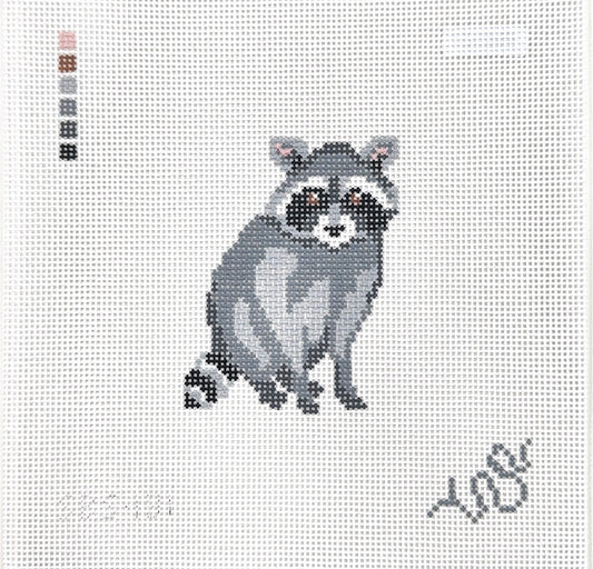Baby Raccoon
