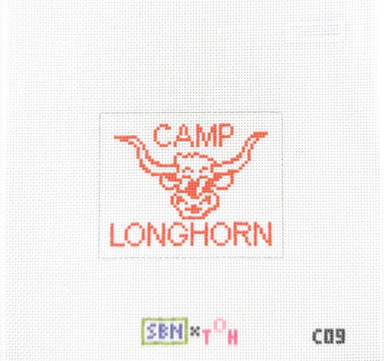 Camp Longhorn
