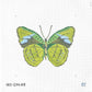 Large Green Butterfly