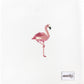 Flamingos
