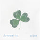 Clover