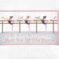 Meet Me at the Barre