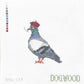 French Pigeon