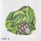Bunny on Cabbage