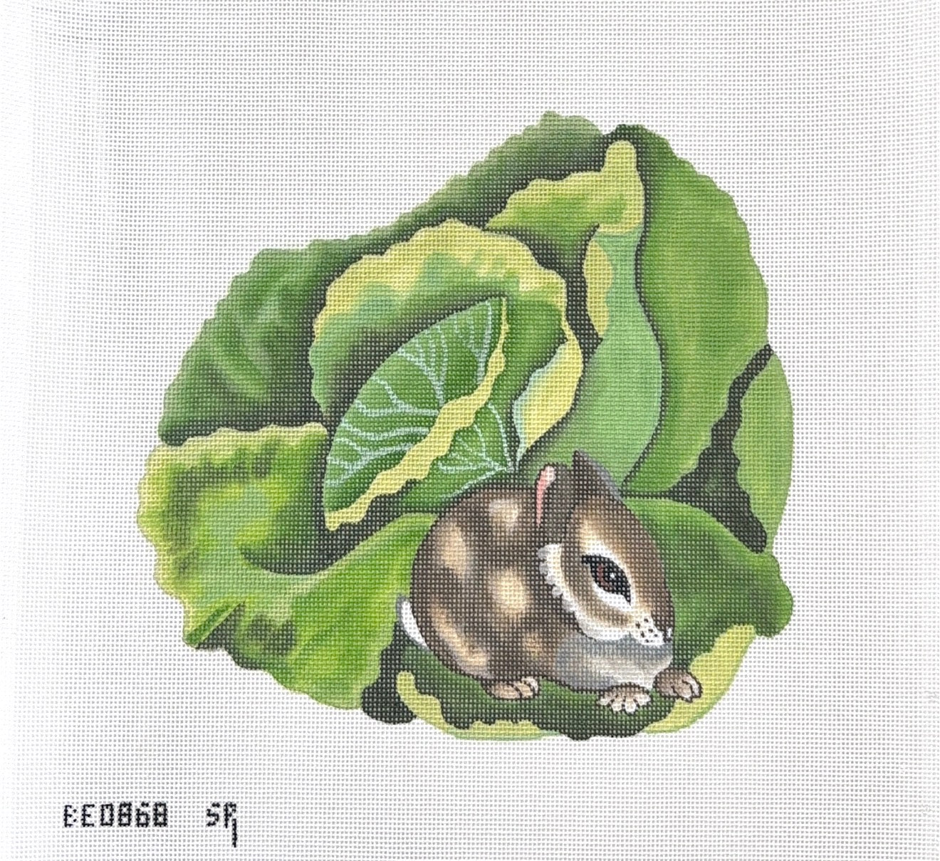 Bunny on Cabbage