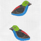 Paradise Tanager