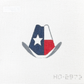 Texas Flag Cowboy Hat