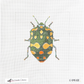 Green & Gold Beetle