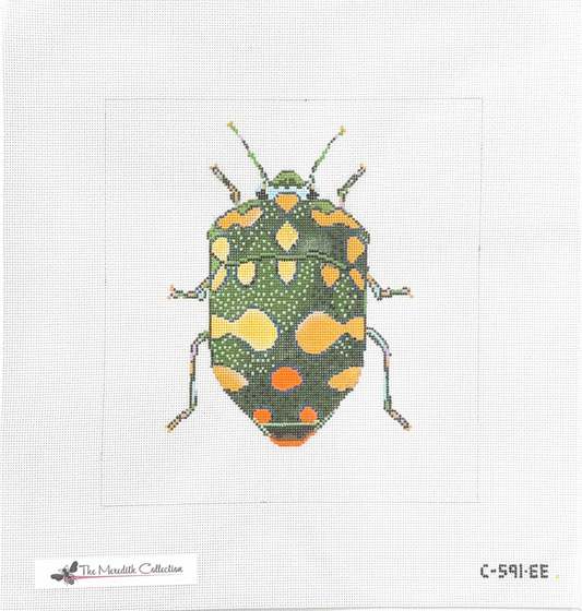 Green & Gold Beetle