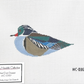 Wood Duck