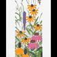 Tall Grass Prairie