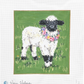 Valais Lamb