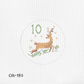 12 Days of Christmas