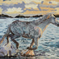 Gia16 16x14