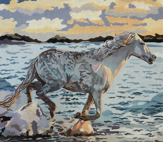 Gia16 16x14